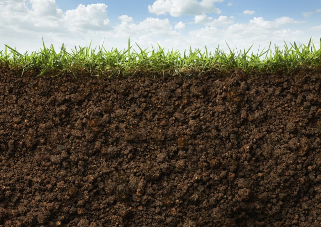 Cross section of grass and soil against blue sky