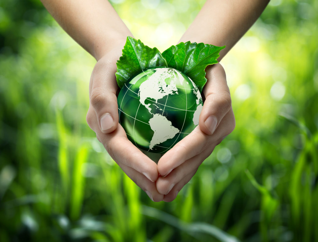 Hands holding green globe with grassy background