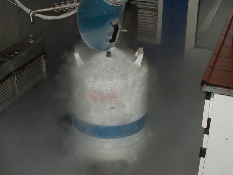 Gas Leak Dry Ice